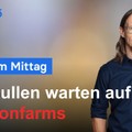 DAX-Analyse am Mittag - Warten auf die Nonfarms!