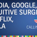 Defizit- und Zinssorgen, Google-Veränderung, Nvidia-Ergebnis, Tesla-CEO - Calling USA