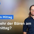 DAX-Analyse am Mittag - Rückkehr der Verkäufer am Nachmittag?
