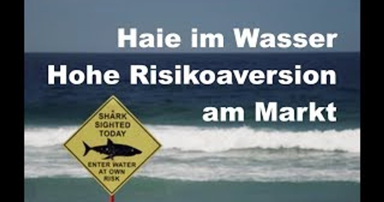 Haie im Wasser - Risikoaversion steht auf der Speisekarte