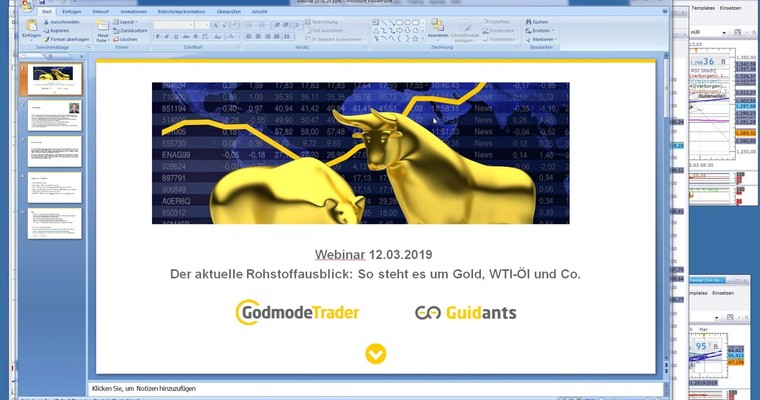 Webinarmittschnitt Rohstoff- und Indextrader