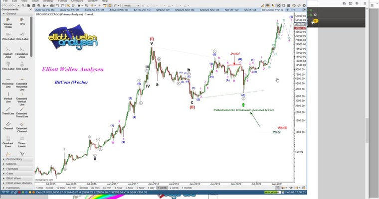 EW Analyse - BITCOIN elektrisiert - The Big Long