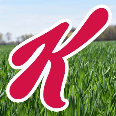 Kellanova Co Logo