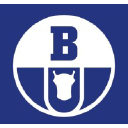 Boryszew S.A. Logo