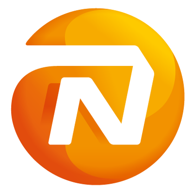 NN Group N.V. Logo