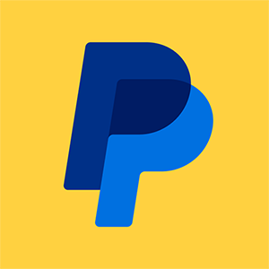 PayPal Holdings Inc. Logo