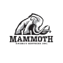Mammoth Energy Services Inc. Logo