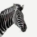 Investec PLC Logo