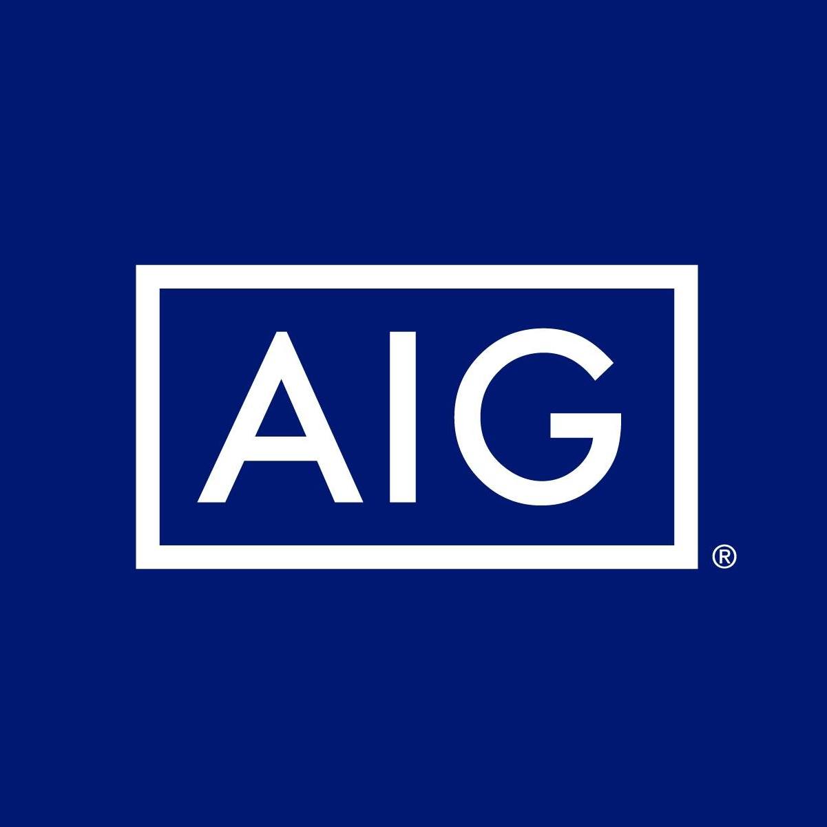 American International Grp Inc Logo