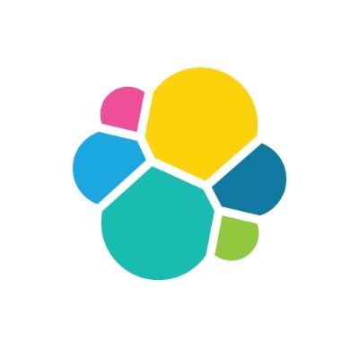 Elastic N.V. Logo