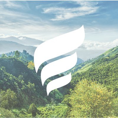 New Fortress Energy Inc. Logo