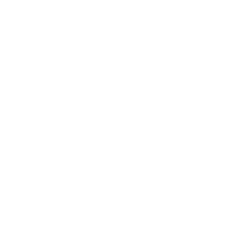 RenaissanceRe Holdings Ltd. Logo