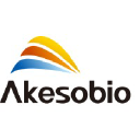 Akeso Inc. Logo