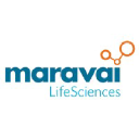 Maravai LifeSciences Hldgs Inc Logo