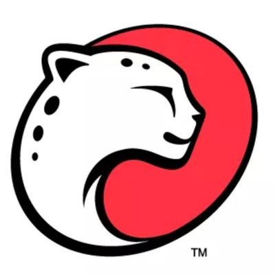 Playtika Holding Logo