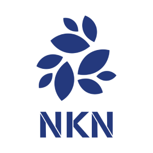 NKN NKN/USD Logo