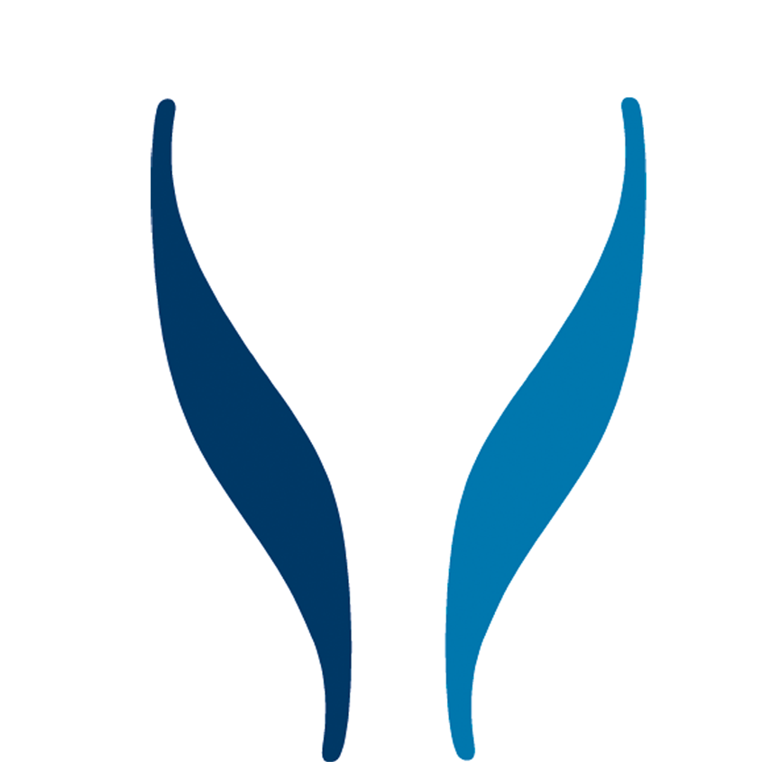 SYNLAB AG INH O.N. Logo
