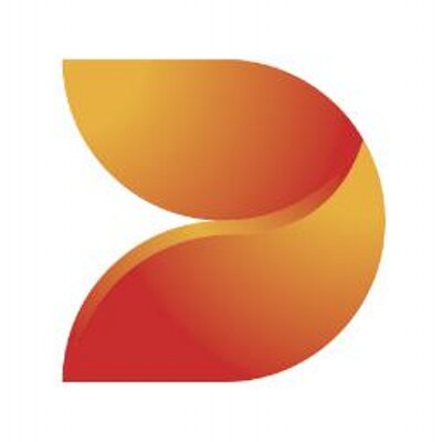 Smith (DS) PLC Logo