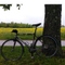 rmbc