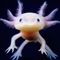 axo.lotl