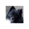 Juancor