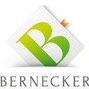 Bernecker Börsenbriefe