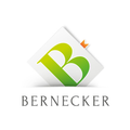 Bernecker Börsenbriefe