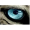 blueeyemax