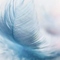 Feather
